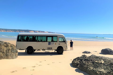 Kayak With Dolphins And 4WD Great Beach Drive Day Trip From Noosa - Restaurant Gold Coast 4
