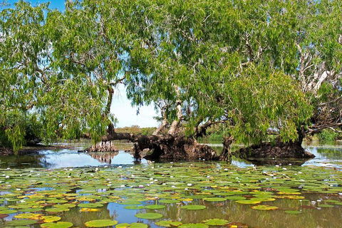 Ethical Adventures - Best In The WET - Litchfield / Kakadu 3 Day- Max 10 Guests - Restaurant Gold Coast 1