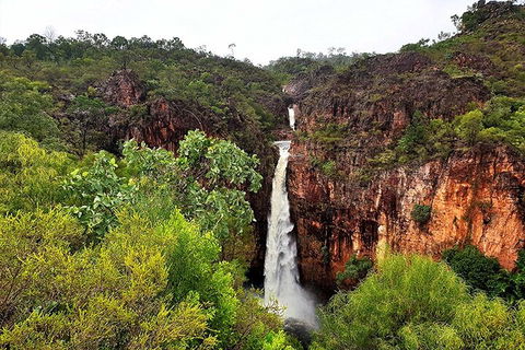Ethical Adventures - Best In The WET - Litchfield / Kakadu 3 Day- Max 10 Guests - Restaurant Gold Coast 2