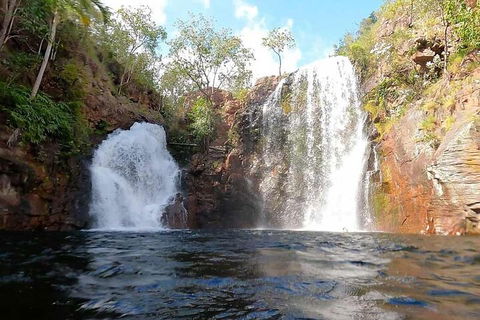 Ethical Adventures - Best In The WET - Litchfield / Kakadu 3 Day- Max 10 Guests - Restaurant Gold Coast 5