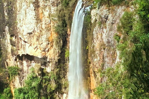 Natural Arch, Rainforest & Volcano Canyon - Private Half Day Tour - Restaurant Gold Coast 2