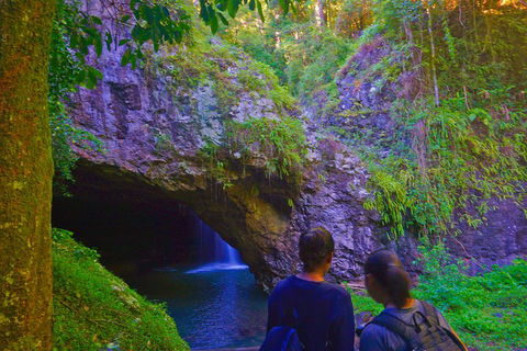Natural Arch, Rainforest & Volcano Canyon - Private Half Day Tour - Restaurant Gold Coast 4