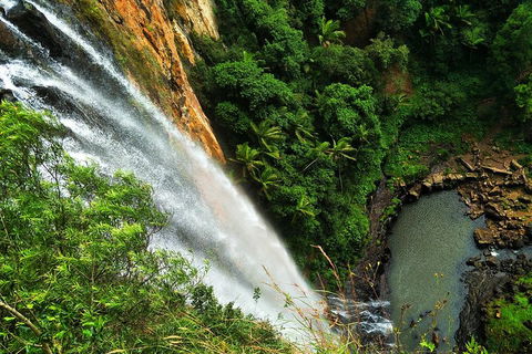 Natural Arch, Rainforest & Volcano Canyon - Private Half Day Tour - Restaurant Gold Coast 5