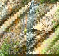 Private Tour - Rainforest  Waterfalls Extravaganza - Restaurant Gold Coast