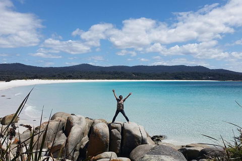 Tasmania 4 Day East Coast + Launceston - Restaurant Gold Coast 1