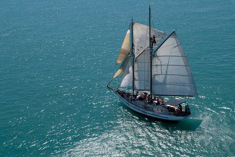 Whitehaven Beach Sailing And Snorkeling Cruise - Restaurant Gold Coast 1