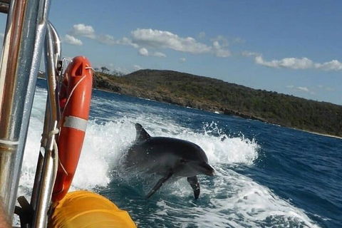 Noosa Oceanrider - Adventure Tour - Restaurant Gold Coast 1