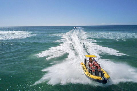Noosa Oceanrider - Adventure Tour - Restaurant Gold Coast 2