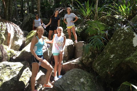 Byron Bay Hinterland Tour Including Rainforest Walk To Minyon Falls - Restaurant Gold Coast 3