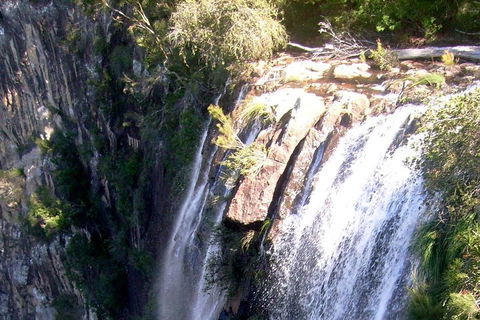 Byron Bay Combo: Hinterland Tour Including Minyon Falls And Kayaking With Dolphins - Restaurant Gold Coast 3