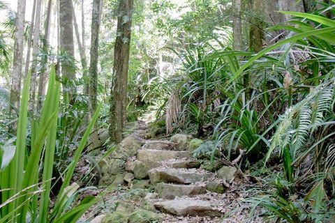 Byron Bay Combo: Hinterland Tour Including Minyon Falls And Kayaking With Dolphins - Restaurant Gold Coast 5