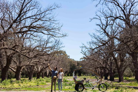 Adelaide 90-Minute Pedicab Tour: Scenic Green & River Experience - Restaurant Gold Coast 1
