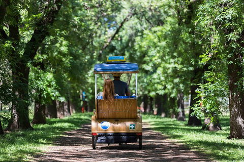 Adelaide 90-Minute Pedicab Tour: Scenic Green & River Experience - Restaurant Gold Coast 2