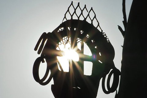 Wave Rock, Wild Flowers And Astro Photography - Restaurant Gold Coast 4