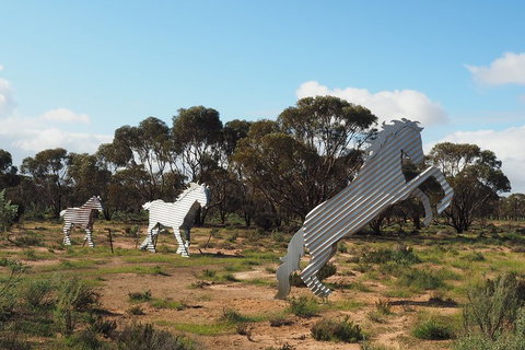 Wave Rock, Wild Flowers And Astro Photography - Restaurant Gold Coast 5