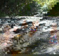 Daintree Rainforest Cape Tribulation Mossman Gorge Small-Group Day Tour - Restaurant Gold Coast