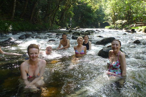 Daintree Rainforest, Cape Tribulation, Mossman Gorge Small-Group Day Tour - Restaurant Gold Coast 0