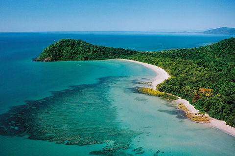 Daintree Rainforest, Cape Tribulation, Mossman Gorge Small-Group Day Tour - Restaurant Gold Coast 4