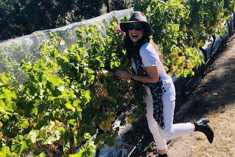 Valleys Of Vino Tour - Restaurant Gold Coast 3