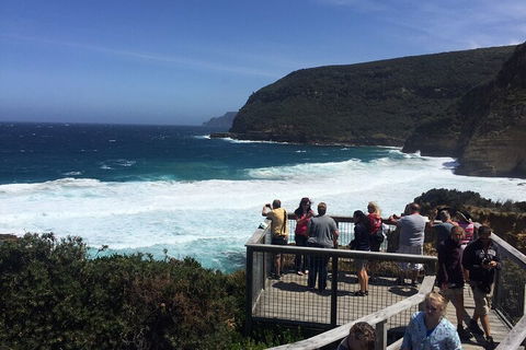 The Port Arthur MEGA Day Trip From Hobart - Restaurant Gold Coast 2
