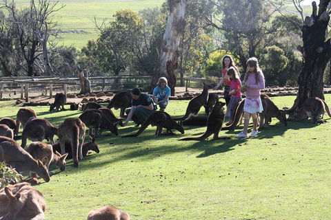 The Port Arthur MEGA Day Trip From Hobart - Restaurant Gold Coast 5