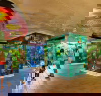 Skyrail  Kuranda Train Day Trip from Cairns - Restaurant Gold Coast