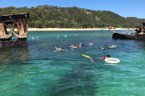 All Inclusive Dolphin And Tangalooma Wrecks Cruise - Restaurant Gold Coast 0