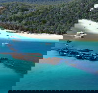 All Inclusive Tangalooma Wrecks Cruise Tour From Gold Coast - Restaurant Gold Coast