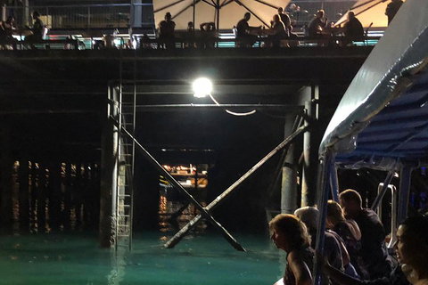Darwin Sunset Cruise Including Fish 'n' Chips - Restaurant Gold Coast 0