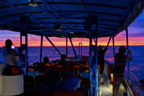 Darwin Sunset Cruise Including Fish 'n' Chips - Restaurant Gold Coast 1