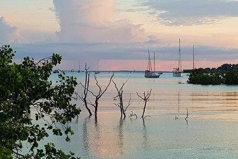 Tropical Light Sundowner Cruise With Drinks Included - Restaurant Gold Coast 2