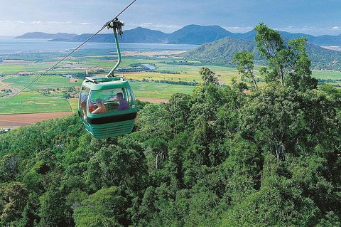 Kuranda Day Tour, TKS-RFS GRAND GOLD PLUS 0930 - Restaurant Gold Coast 0