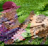 Kuranda Day Tour  HotAir Balloon Combo - Restaurant Gold Coast