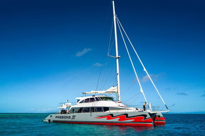 Passions of Paradise Great Barrier Reef Snorkel and Dive Cruise from Cairns by Luxury Catamaran