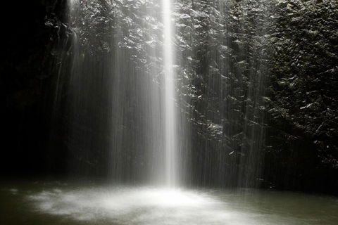 Natural Bridge Glow Worm Night Tour From Gold Coast - Restaurant Gold Coast 2