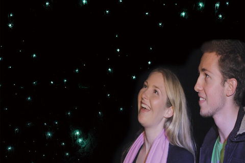 Natural Bridge Glow Worm Night Tour From Gold Coast - Restaurant Gold Coast 3