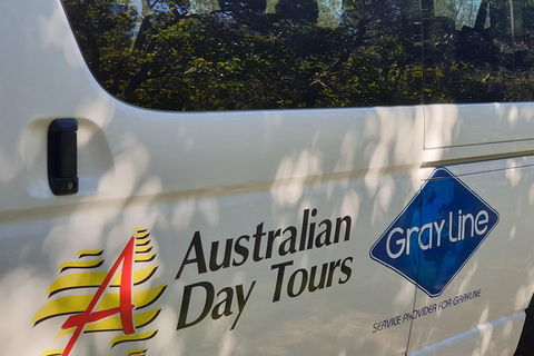 Natural Bridge Glow Worm Night Tour From Gold Coast - Restaurant Gold Coast 5