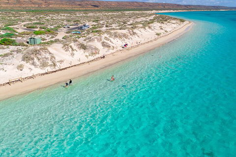 Ningaloo In A Day - Full Day Hike And Snorkel Tour With Lunch - Restaurant Gold Coast 0