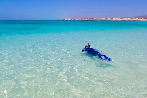 Ningaloo In A Day - Full Day Hike And Snorkel Tour With Lunch - Restaurant Gold Coast 4