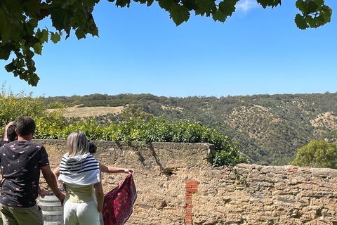 Private Mclaren Vale Wine Tour - Restaurant Gold Coast 2