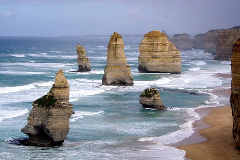 LGBT+ Friendly 2 Day Private Tour Great Ocean Road + Phillip Island - Restaurant Gold Coast 0