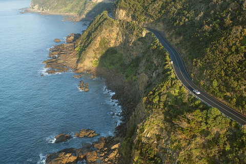 LGBT+ Friendly 2 Day Private Tour Great Ocean Road + Phillip Island - Restaurant Gold Coast 4