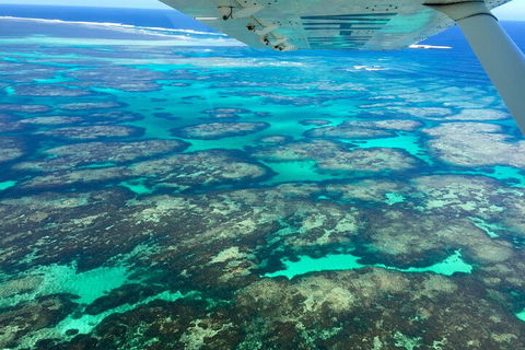 Shipwreck Special Full Day Tour Of The Abrolhos Islands - Restaurant Gold Coast 1