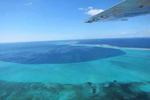 Shipwreck Special Full Day Tour Of The Abrolhos Islands - Restaurant Gold Coast 2