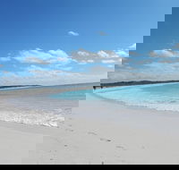 Shipwreck Special Nature Tour/Half Day Tour - Restaurant Gold Coast