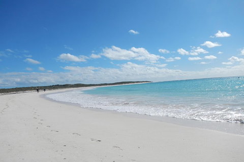 Shipwreck Special Nature Tour/Half Day Tour - Restaurant Gold Coast 0