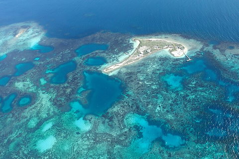Shipwreck Special Nature Tour/Half Day Tour - Restaurant Gold Coast 5