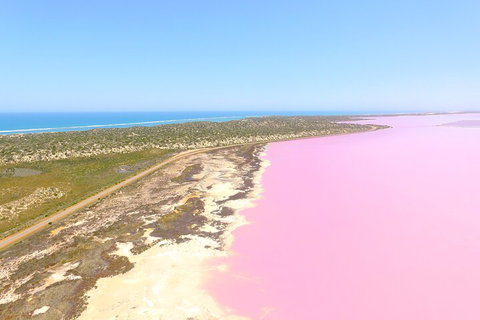 70-minute Pink Lake Scenic Flight - Restaurant Gold Coast 5