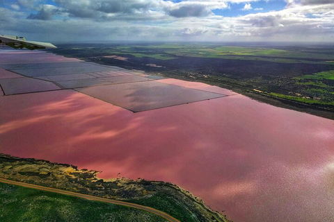 Kalbarri, Pink Lake And Abrolhos Islands Nature Tour - Restaurant Gold Coast 1