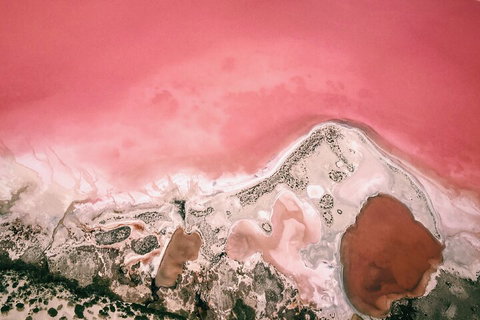 Kalbarri, Pink Lake And Abrolhos Islands Nature Tour - Restaurant Gold Coast 2